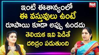 Sravanthi - ఇంటి ఈశాన్యంలో ఈ వస్తువులు ఉంటే రూపాయి కూడా అప్పు ఉండదు Remedies  RedTv Subham