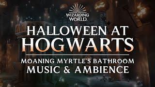  Halloween at Hogwarts  Harry Potter Music & Ambience LIVE with ASMR Weekly