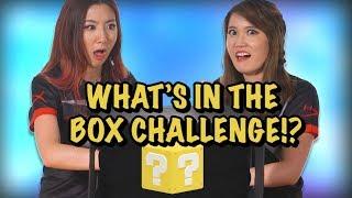 What’s in the box Challenge with Fuslie and AngelsKimi