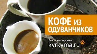 Кофе из одуванчиков. Для кофейных экстремалов