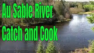 Delicious Trout Catch And Cook On The Scenic Au Sable River In Michigan