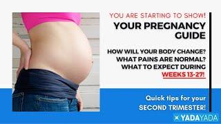 SECOND TRIMESTER Of Pregnancy  Tips For You During Pregnancy