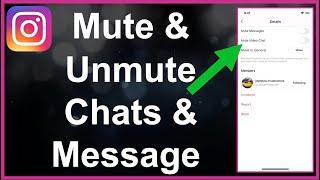 How To Mute  Unmute Instagram Chats & Messages