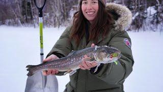 Ice Fishing for Arctic Char in Alaska