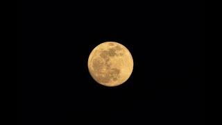Rise of the Orange Moon