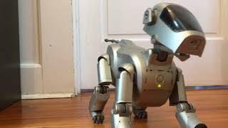 Sony Aibo ERS-110 Performance Mode