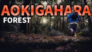 What Hiking in Aokigahara Forest is REALLY Like - The Truth