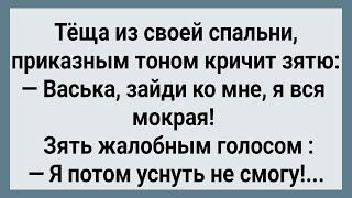 Как Теща По Ночам к Себе Зятя Звала Сборник Свежих Анекдотов Юмор