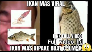 Ikan Mas Viral Di TikTok  + Link Download