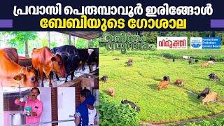 Watch the beauty of NRI Iringole Babys dairy farm at Perumbavoor  Haritham Sundaram EP 388