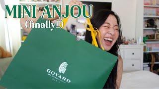 UNBOXING  GOYARD MINI ANJOU ️ Includes Current Price & Close Ups