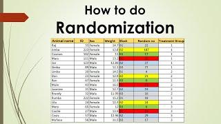 How to do randomisation in research studies?