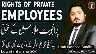 Rights of Private Employees  Labour Court  NIRC