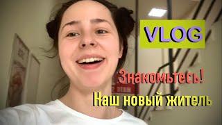 НОВЫЙ ЖИЛЕЦ В НАШЕЙ СЕМЬЕ VLOG ОБЗОР ПОКУПОК