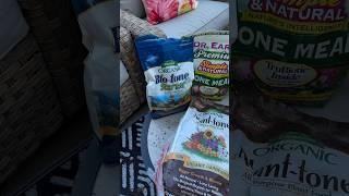 My Fall Fertilizing Routine#OctoberintheGarden#zone8a #gardening