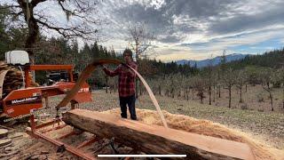 Cutting Spalted Alder Veneer Lumber and Slabs with Woodmizer LT15 Sawmill. How thin can it cut?