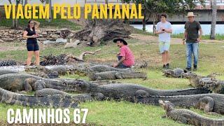 VIAGEM PELO PANTANAL - UMA AVENTURA SOBRE RODAS