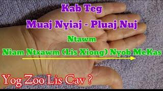 Kab Teg Muaj Nyiaj - Pluaj Nuj Ntawm Niam Ntxawm Lis Xiong Nyob Mekas_Yog Kab Teg Zoo Lis Cav ?