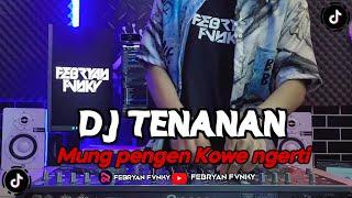 MUNG PENGEN KOWE NGERTI KOWE SENG PALING TAK TRESNANI  TENANAN Febryan Fvnky Remix