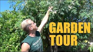 Arizona Garden Tour - Over 200 Fruit Trees on 13 Acre - Spring 2016