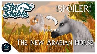 SSO - SPOILER - New Arabian Horse - with special tack  released