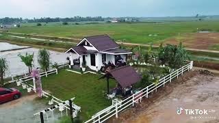 Tempat yg tenang dan sejukRumah di tengah Sawah Sejuk