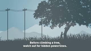 Electricity can jump to a nearby tree and deliver a shock.