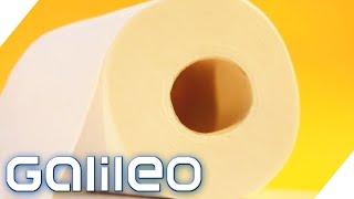 Klopapier-Boom Aber wie wird Toilettenpapier hergestellt?  Galileo  ProSieben