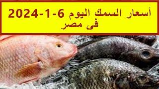 أسعار السمك اليوم 6-1-2024 في مصر