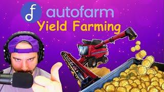 Yield Farming on the Binance Smart Chain with autofarm.network