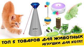  Топ 5 ИГРУШКИ ДЛЯ КОТОВ КОШЕК И КОТЯТ  ТОВАРЫ ДЛЯ ЖИВОТНЫХ