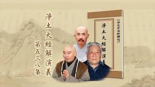 淨土大經解演義 第538集｜淨空老和尚主講