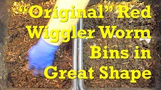 Original red wiggler bins 12th feeding after a 20-day interval - vermicompost