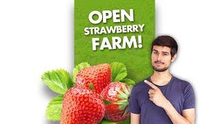 Unlimited Strawberry Farm