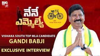 Vishaka South TDP MLA Candidate Gandi Babji Exclusive Interview  Nene MLA  BIG TV