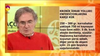 Kronik İdrar Yolları Enfeksiyonu Yaşayanlara Kür