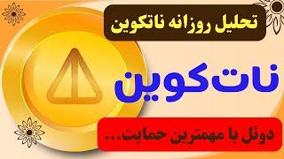 تحلیل نات کوین  مهمترین حمایت پامپ می‌شود یا دامپ؟