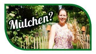 Mulchen im Garten und  Wasser sparen  Bodenverbesserung im Garten