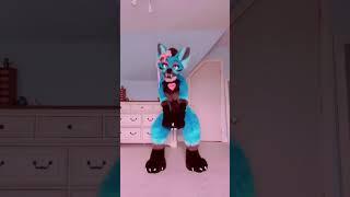 Shake to the beat #furry #furryfandom #fyp #foryou #furriesoftiktok #furrytiktok