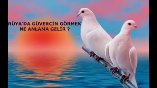 RÜYADA GÜVERCİN GÖRMEK NE ANLAMA GELİR? Tabiri ve Yorumu - Rüya Yorumu