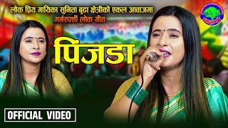 सुनिताको जीवनमा यस्तो पिडा  Pinjada  Sunita Budha Chhetri & Gyanendra Shahi  New Ekal Song 2080