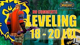WOTLK Classic Leveling Alliance Guide Paladin 18-20 One hour preparation WoW 4KASMR
