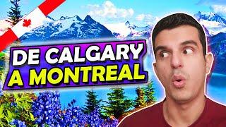 Por esto me Mude de Calgary a Montreal  Mi Vida en Canada Parte 24