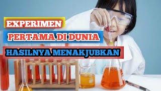 Experimen pertama di dunia Hasilnya bikin geleng-geleng kepala