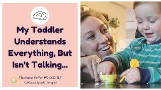 My Toddler Understands But Isn’t Talking Learn How To Help From A Speech Therapist