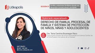 Familia y Relaciones Familiares desde una Dimensión Constitucional y de Derechos Humanos  Tania B.