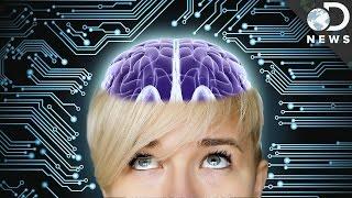 Can The Human Brain Be Reprogrammed?