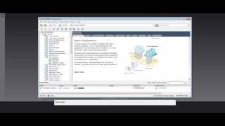 Provisioning Shared Disks for Oracle RAC using Multi-Writer Flag on VMware vSphere 5.5