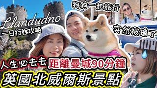 【英國旅遊攻略】柴犬春卷陪你自駕北威爾斯#llandudno & Conwy一日遊必看景點 #英國景點 #帶狗旅行