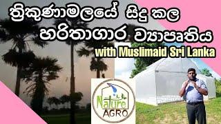 පොලි ටනල්  poly tunnel  green house  protected agriculture  muslimaid project trincomalee